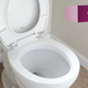 Image for article titled What's the Best Toilet Brand? Yes, Seriously.